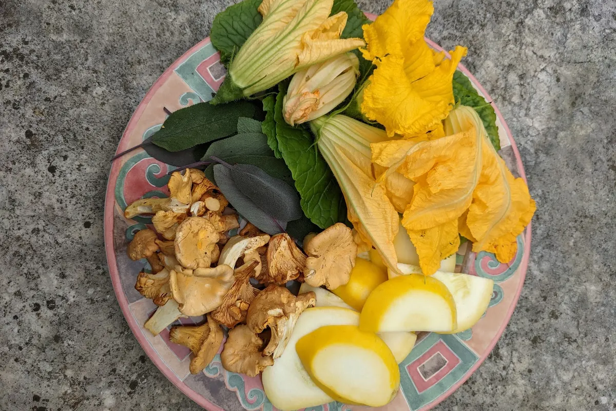 A spread of foraged and home-grown food laid out on a table