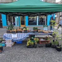 Crates of freshly picked vegetables on the market stall