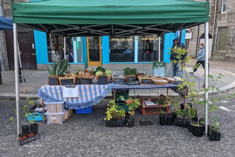 Crates of freshly picked vegetables on the market stall